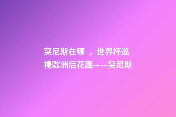 突尼斯在哪，世界杯巡禮歐洲后花園——突尼斯